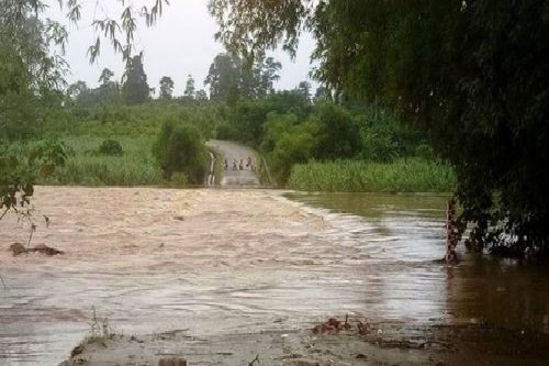 nghe an mua lon keo dai hang ngan ha lua va hoa mau bi ngap ung nhieu ban lang bi co lap