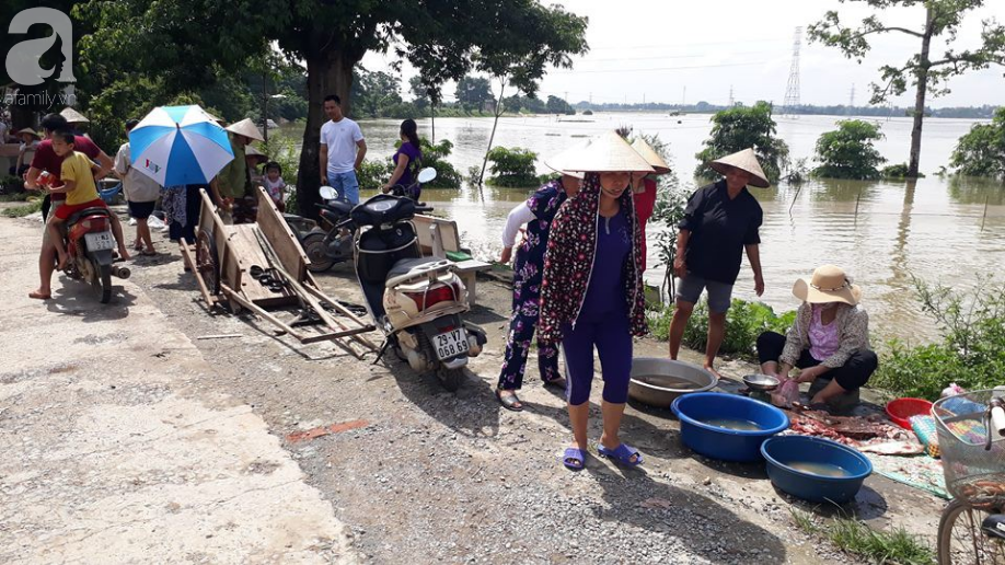 vung ngoai thanh ha noi nhieu noi bi chia cat vi nuoc van ngap trang