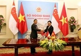 toa dam si quan tre viet nam singapore noi dau tranh chong thu doan nham chia re quan he huu nghi hai nuoc