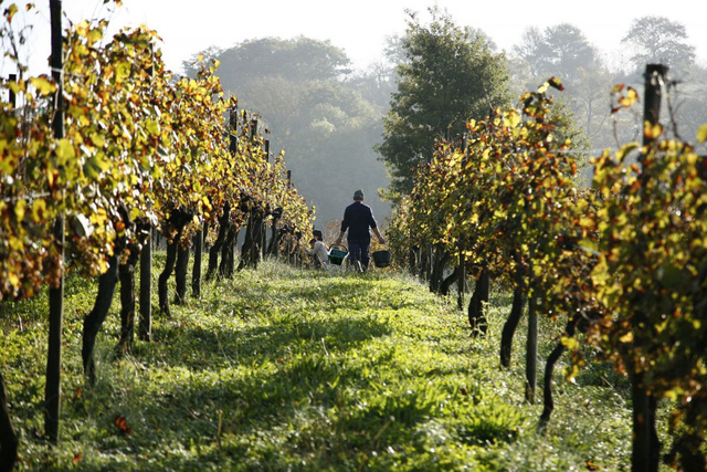 5 quoc gia co anh huong van hoa lon nhat the gioi p1