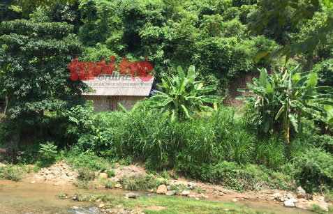 yen bai 4 nguoi trong mot gia dinh bi giet