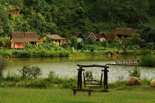 van tuan anh chu nhan lang cu lan da lat trao than cho rung gia