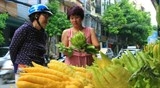 Phật thủ đắt hàng trước rằm tháng 7