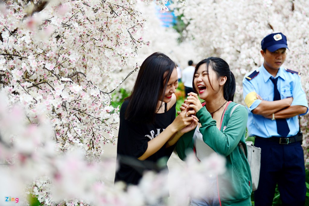 xuat hien vuon hoa anh dao thu hut gioi tre sai gon