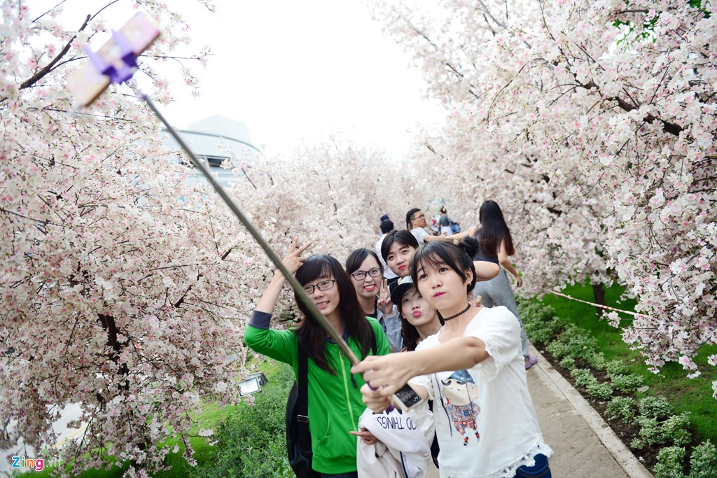 xuat hien vuon hoa anh dao thu hut gioi tre sai gon