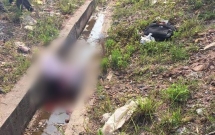 video co gai dau tran hon nap capo o to vi sang duong au