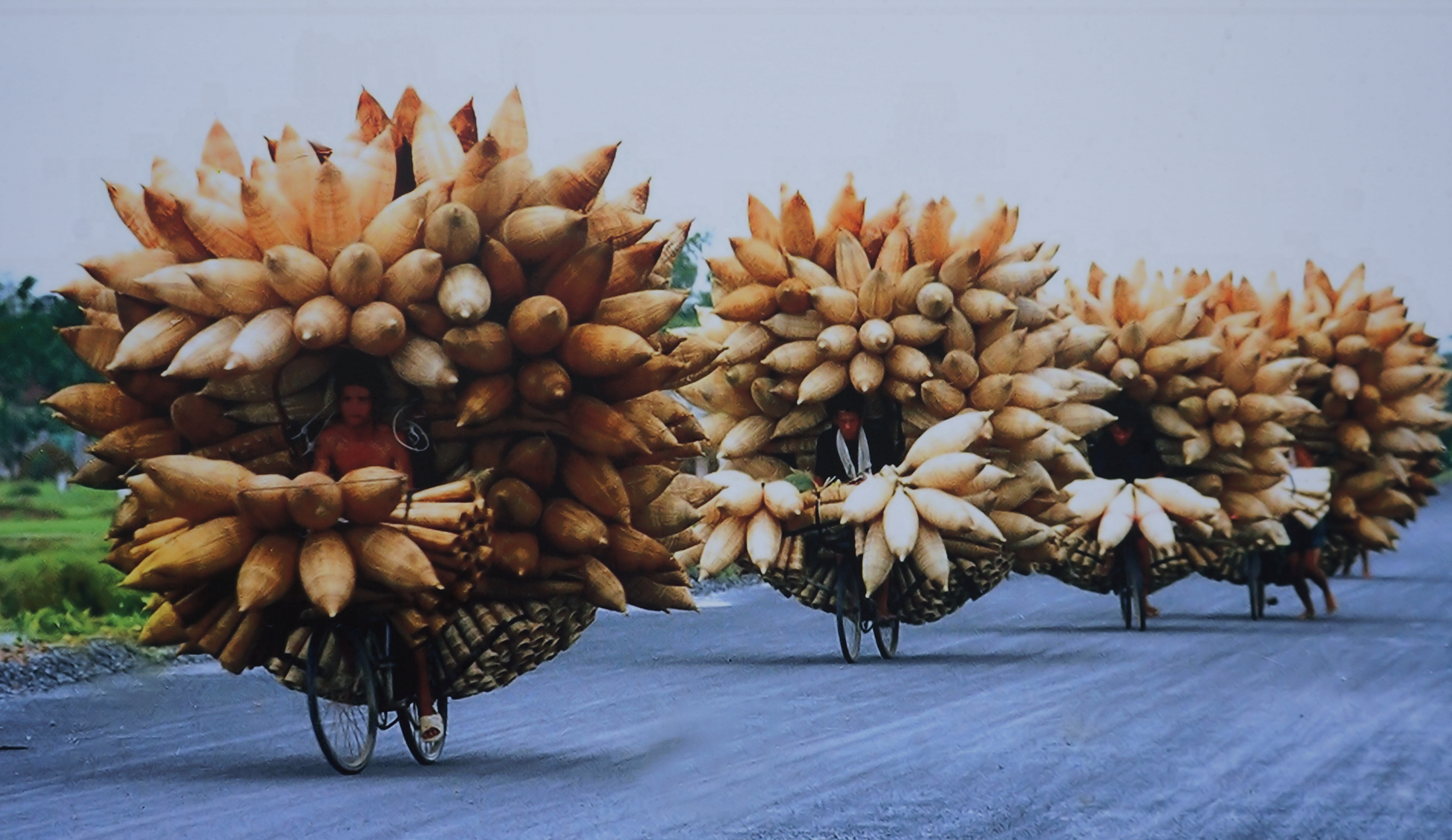 nhung hinh anh song dong ve dat nuoc con nguoi asean