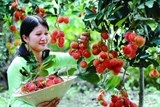tuan le van hoa du lich tinh ben tre lan 2 nam 2017