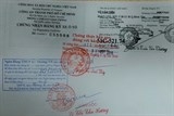 chinh thuc cap doi bang lai xe qua mang tu thang 112019