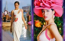 vu cong sieu vong 3 tham vong ke vi pham huong tai hoa hau hoan vu viet nam 2017