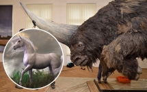 hoa ra ky lan trong truyen thuyet la co that ngoai doi nhung no xau kinh khung