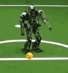 16 con robot vo dung chi muon vut vao sot rac cho nhanh