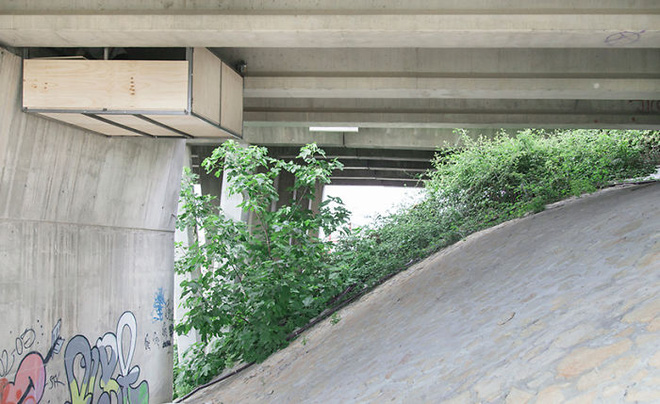 muon tim cho bi mat lam viec nguoi dan ong nay tim duoc mot dia diem lam van phong khong ai ngo