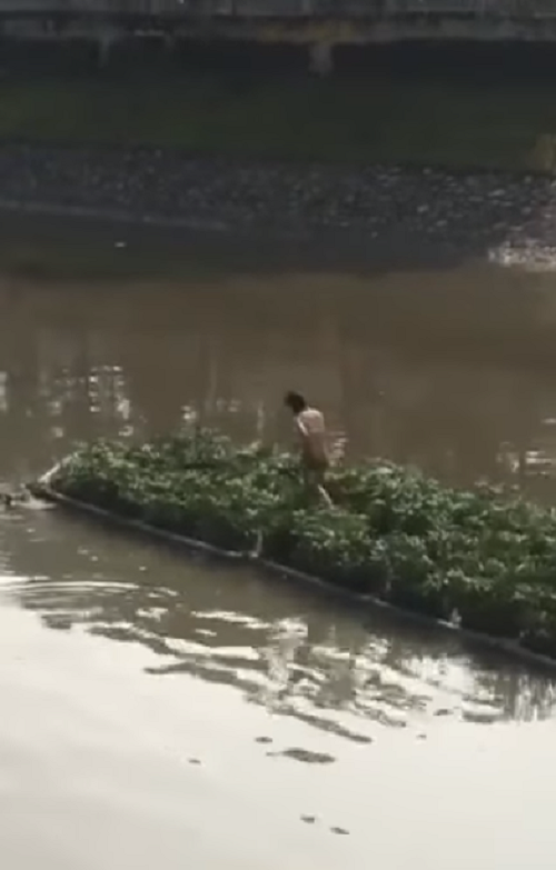 ha noi co gai khoa than than nhien dung giua song to lich khien nhieu nguoi to mo