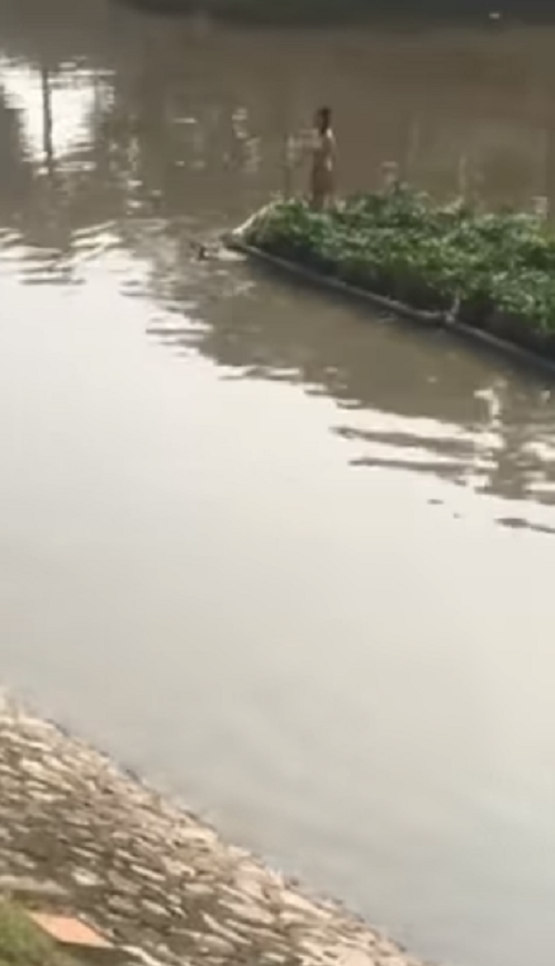 ha noi co gai khoa than than nhien dung giua song to lich khien nhieu nguoi to mo