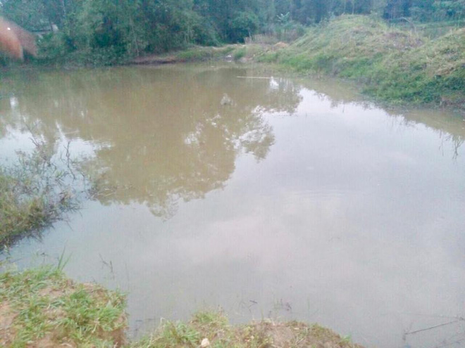 cap vo chong lao xuong ho cuu hai chau be duoi nuoc ca 4 nan nhan tu vong thuong tam