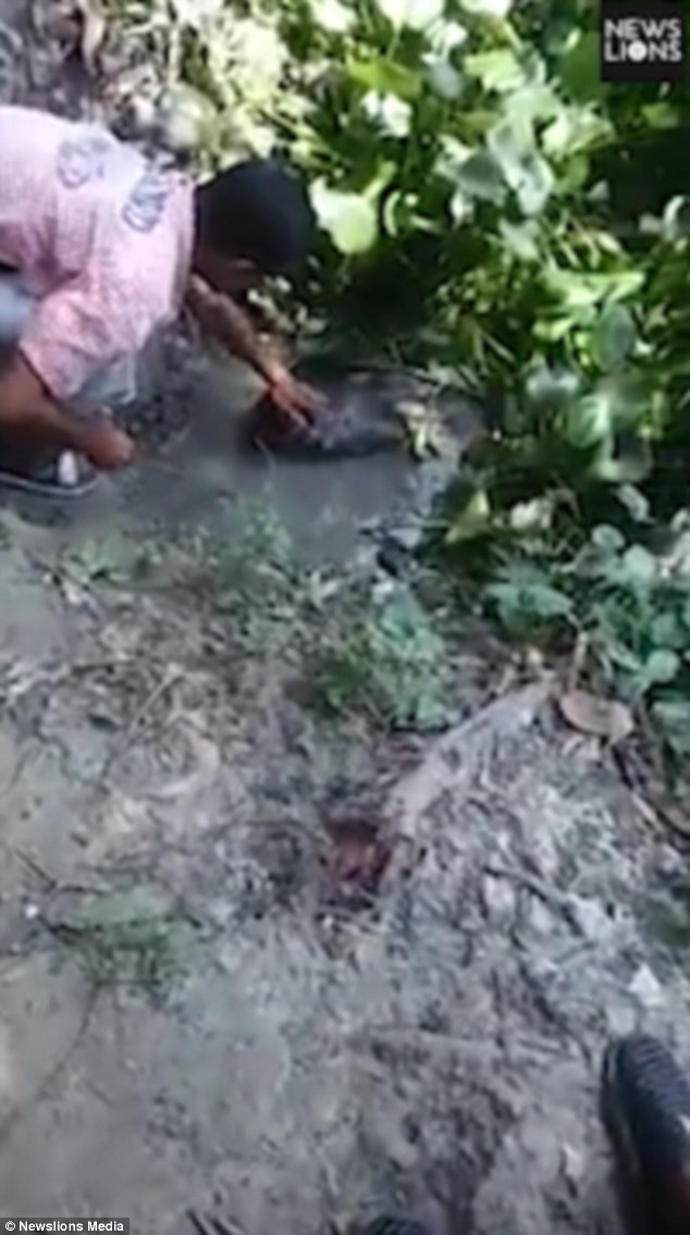 ca gan vuot dau ca sau nam thanh nien dai dot lanh ngay hau qua