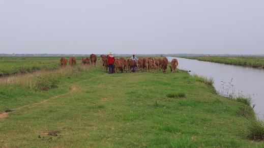 lanh dao huyen quang ninh chi dao dung thu cac khoan phi vo ly