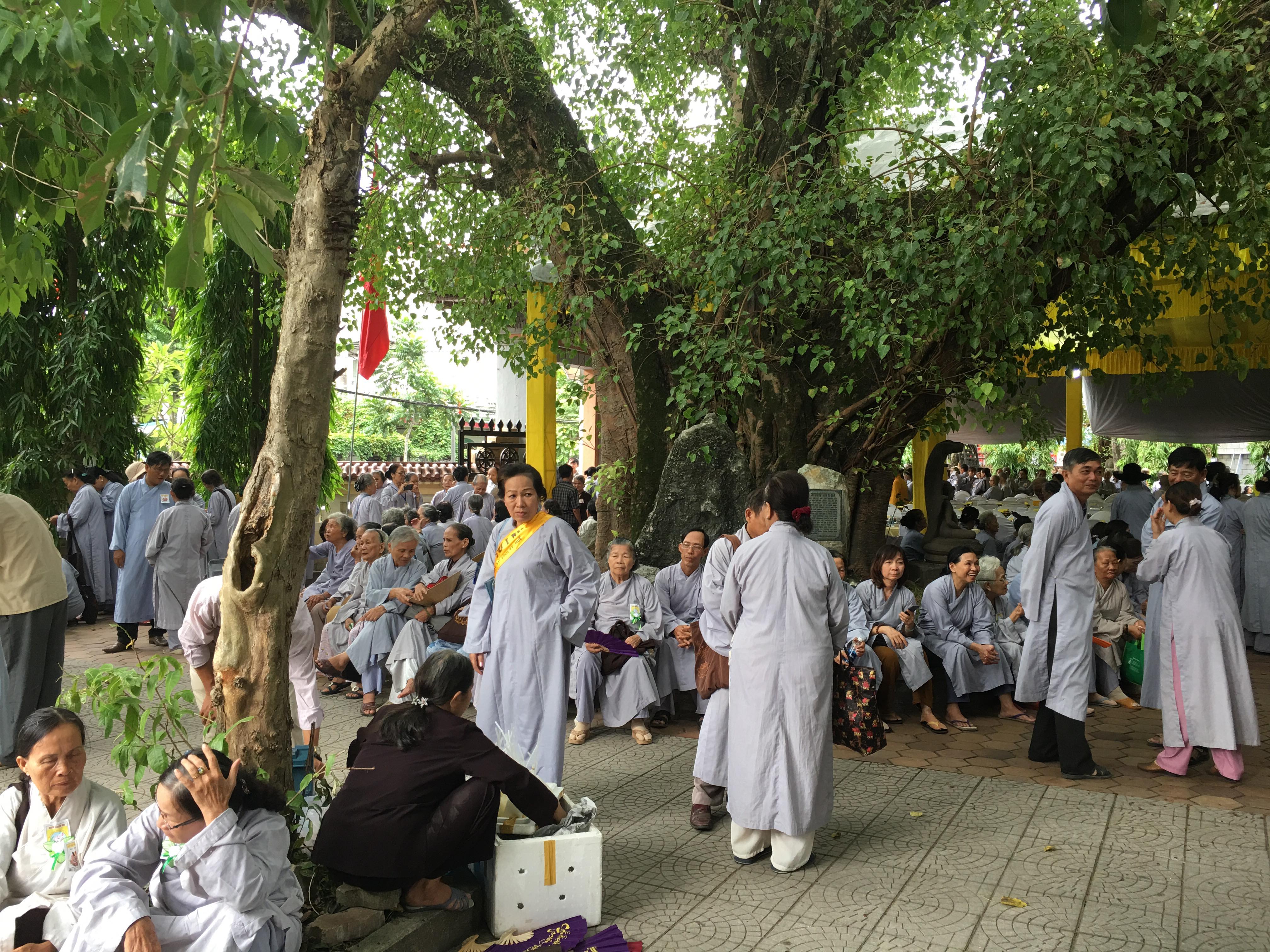 nhung hinh anh dep trong ngay le vu lan tai co do hue