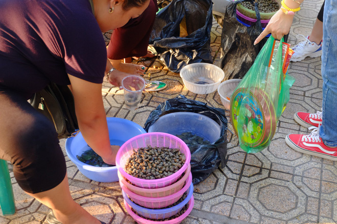 anh rua bi duc lo tren mai de troi buoc bay ban nham phuc vu nhu cau nguoi dan mua phong sinh mua vu lan