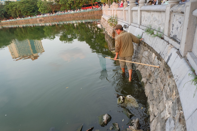 anh rua bi duc lo tren mai de troi buoc bay ban nham phuc vu nhu cau nguoi dan mua phong sinh mua vu lan