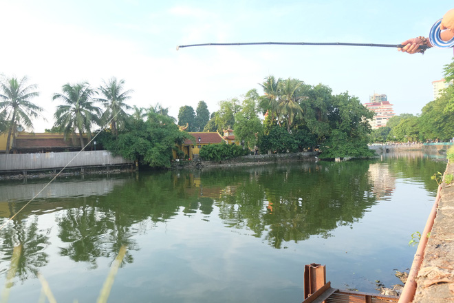 anh rua bi duc lo tren mai de troi buoc bay ban nham phuc vu nhu cau nguoi dan mua phong sinh mua vu lan