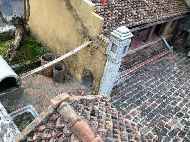 chau cay bonsai cua nguoi dan ong khien dan mang ran ran chia se goi la kiet pham