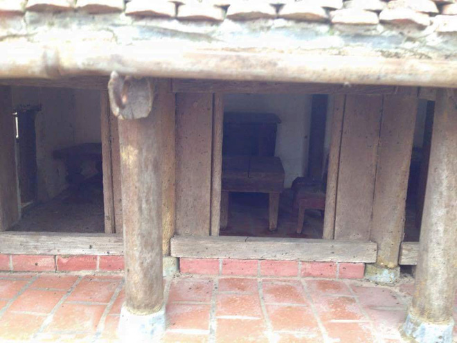 chau cay bonsai cua nguoi dan ong khien dan mang ran ran chia se goi la kiet pham