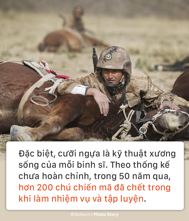 doi ky binh thien chien cuoi cung cua trung quoc dinh cao ve ky thuat cuoi ngua va am sat