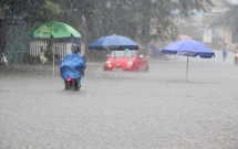 mua dong du doi quat nga nhieu cay xanh ha noi lai ngap