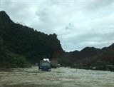 mua dong du doi quat nga nhieu cay xanh ha noi lai ngap