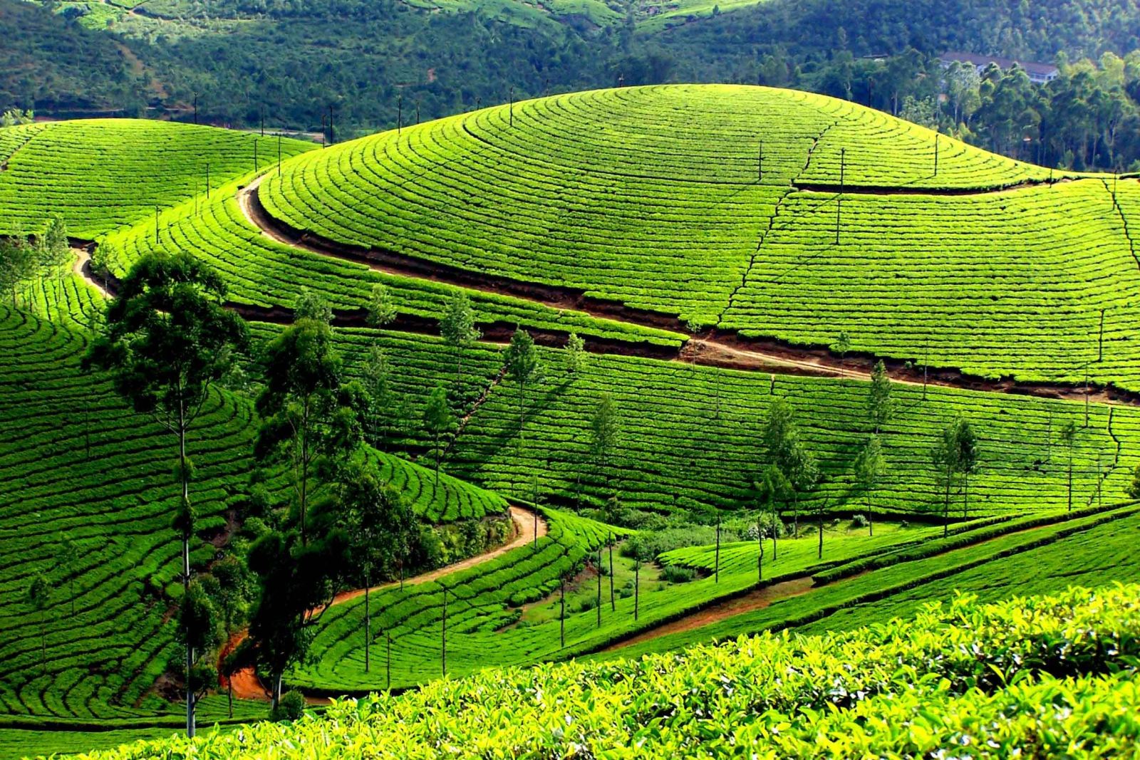 cac tour du lich mua thu lang man