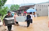 xuat hon 120 tan gao ho tro cuu doi cho nhan dan lao cai