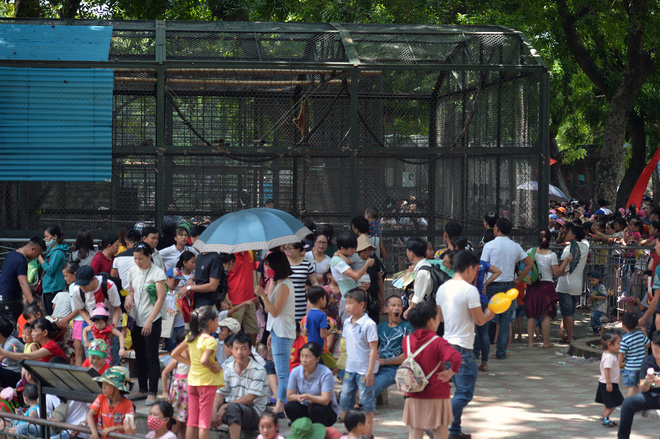 chum anh bien nguoi do ve khu vui choi o ha noi trong ngay dau nghi le quoc khanh