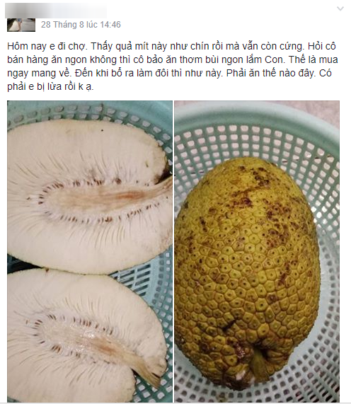 cuoi ra nuoc mat voi su that dang sau vu an mua nham mit dom chang co mui nao cua chi gai noi tro