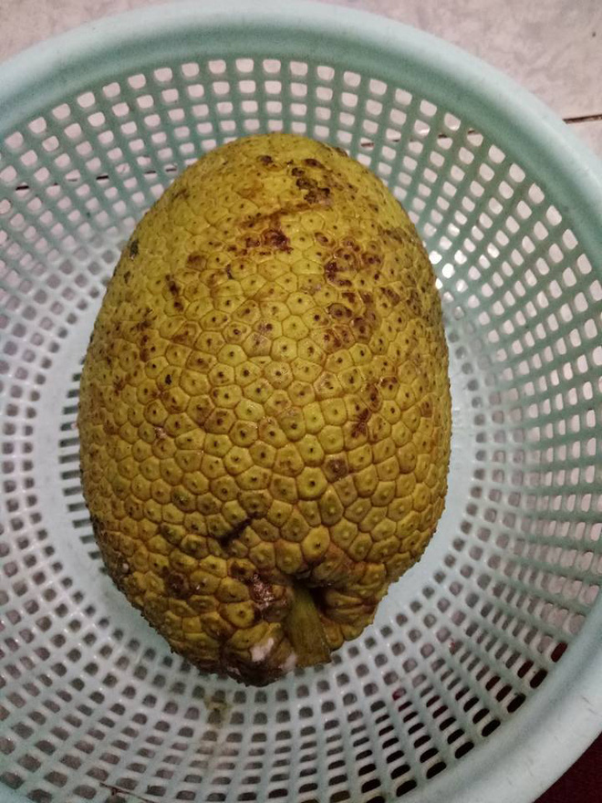 cuoi ra nuoc mat voi su that dang sau vu an mua nham mit dom chang co mui nao cua chi gai noi tro