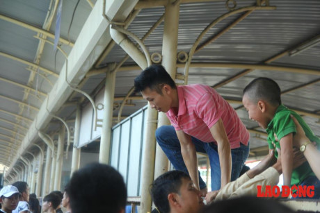 hinh anh khung khiep nhat dip nghi le 29 treo rao giam nat o to con trong dem dai nhac hoi