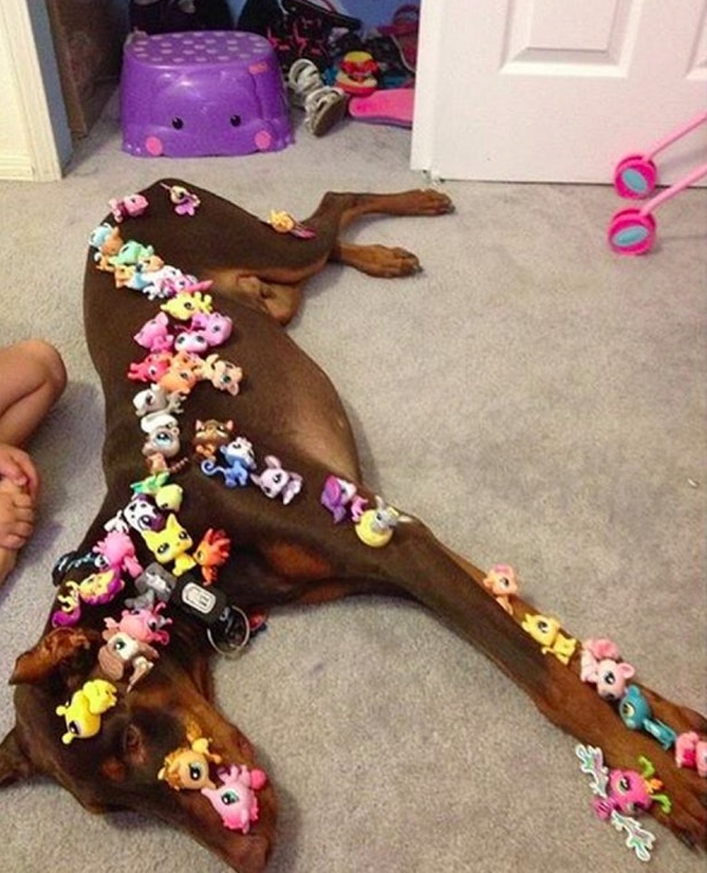 22 minh chung cho thay tre con con kho hieu gap ty lan con gai