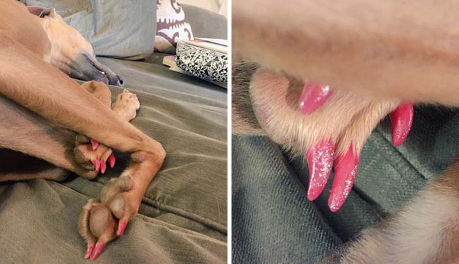 22 minh chung cho thay tre con con kho hieu gap ty lan con gai