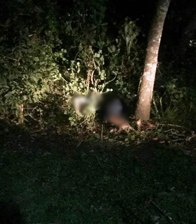 dong nai bat nam thanh nien giet dong nghiep vi bi an tat