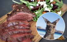 uc chuot tui nhieu gap doi nguoi chinh quyen huy dong nguoi dan an thit kangaroo