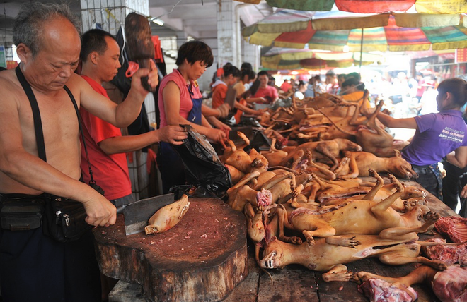 10 dieu thu vi ve dat nuoc trung quoc ma khong phai ai cung biet