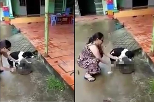 phan no clip nguoi phu nu than nhien chat chan chu cho con song ngay truoc hien nha