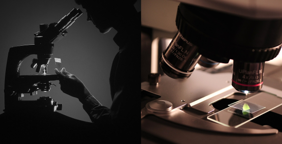 leu tu ky cua nhat ban cho phep ban tao ra can phong bi mat ngay trong nha mot cach de dang