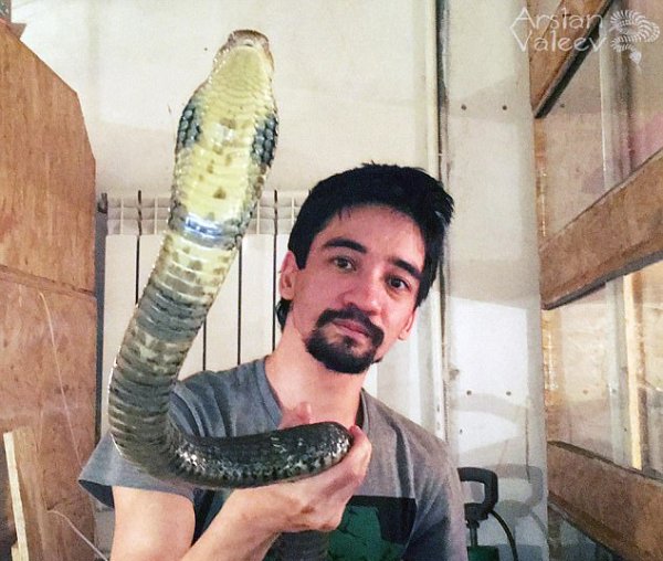 bi ran doc can nam blogger kien quyet khong goi cap cuu de danh thoi gian livestream xin loi vo cu