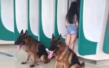 nhung chu cho vao vai bao ke mau mat tai cac cay atm vao ban dem