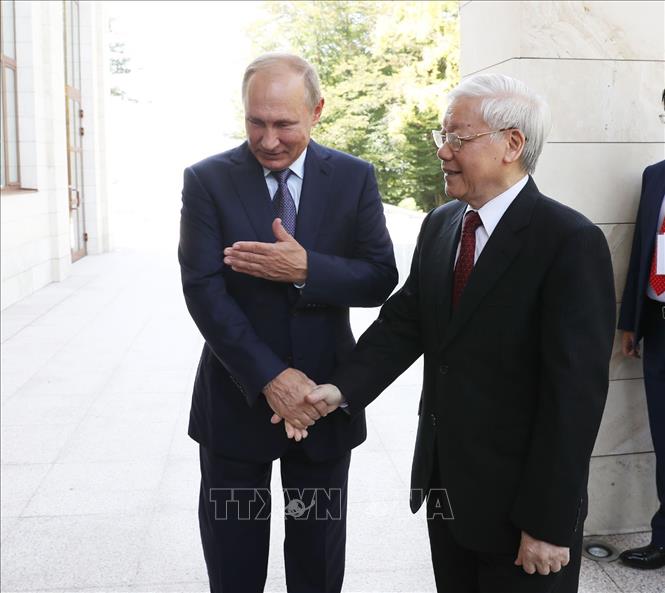 nga luon coi viet nam la doi tac quan trong hang dau tai khu vuc chau a thai binh duong