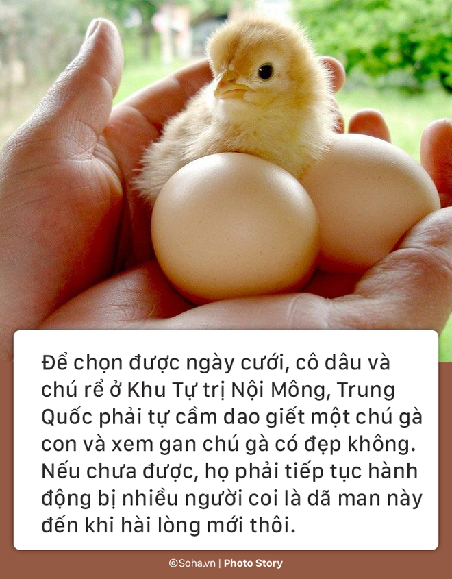 9 phong tuc cuoi hoi ky la tren the gioi phong tuc so 9 lam nhieu nguoi tha o vay con hon