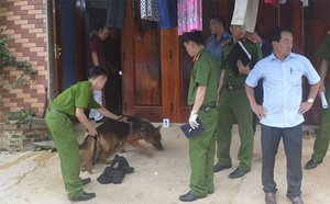 bac si giet vo phi tang xuong song vo sap cuoi tung bo vi vu phu vo cu bo vi bi bao hanh