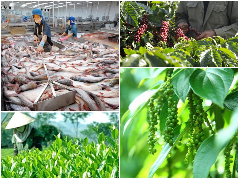 tsvo tri thanh nganh nong nghiep co 3 thay doi co ban khi tham gia wef asean